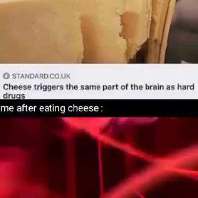 Cheese-kun where you at