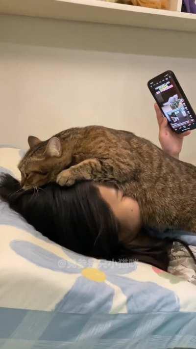 Warm mask for face 😂