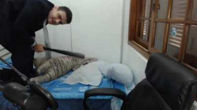 Desculpa se ficou ruim mais eu tô aprendendo a editar agora mais ficou bom