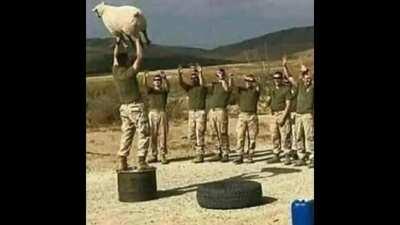 credit to u/FunnyJoeMama for the idea