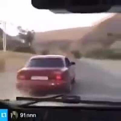 Where did my sheep go?