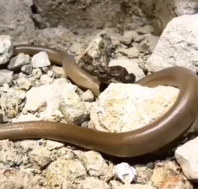 That’s an unusual train