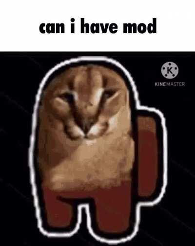 can i have mod