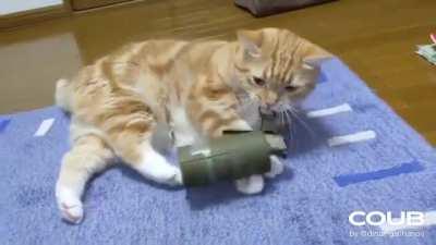 Whatchu got there lil' fella?