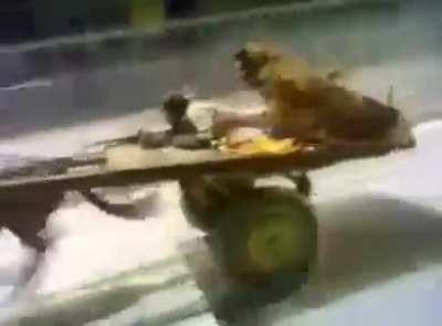 Thanks, I hate this jackass