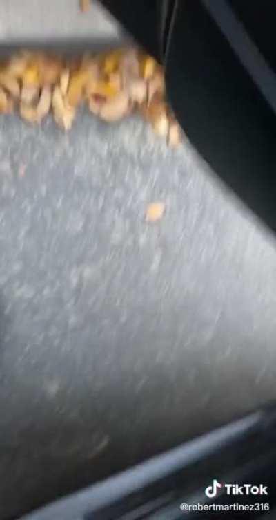 Telling people to get out of their cars to fight. Then doesn’t fight.