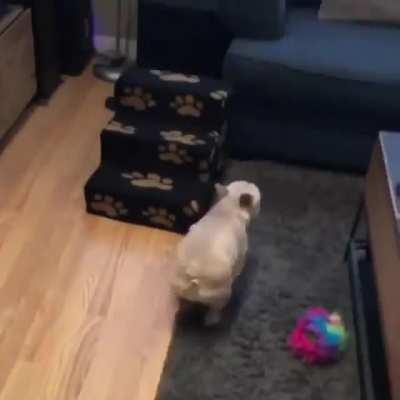 Lemme take a turn here