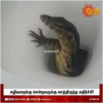 new fear factor unlocked