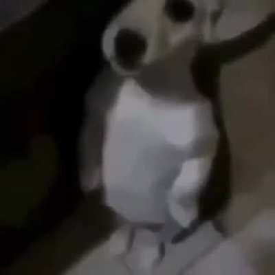 menino de papai 😌