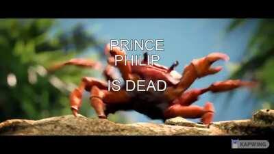 🦀🦀🦀🦀🦀🦀🦀