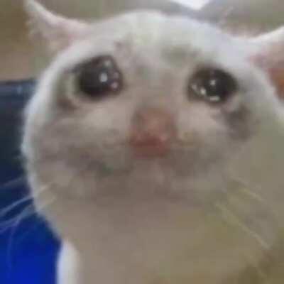 a sad song from the soul 😿