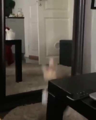 Dance like no one's watchi.....YOU DID NOT JUST SEE THAT