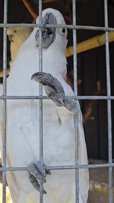 What does this mean?