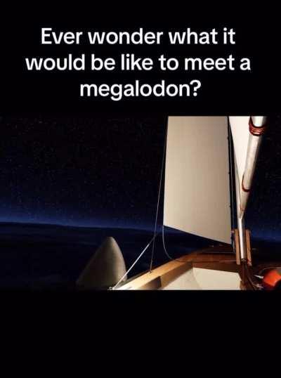 EVER WONDER TO MEET MEGOLODEN?