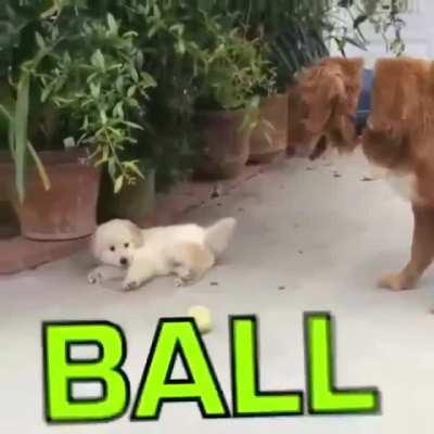 So many distractions