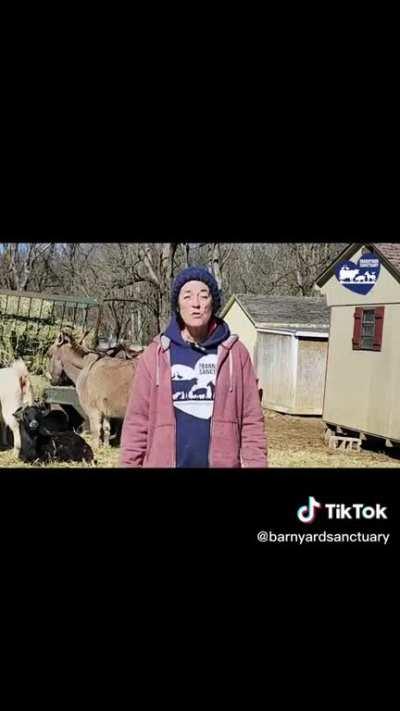 Barnyard Sanctuary in Columbia New Jersey