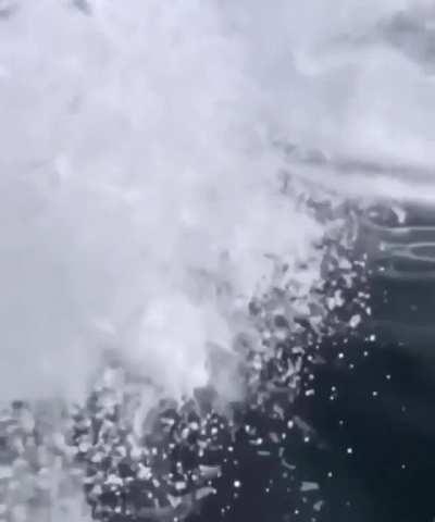 In the light of recent events this qualifies as terrifying imo