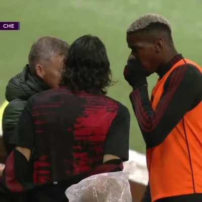 Pogba translating Ole's instructions for Cavani