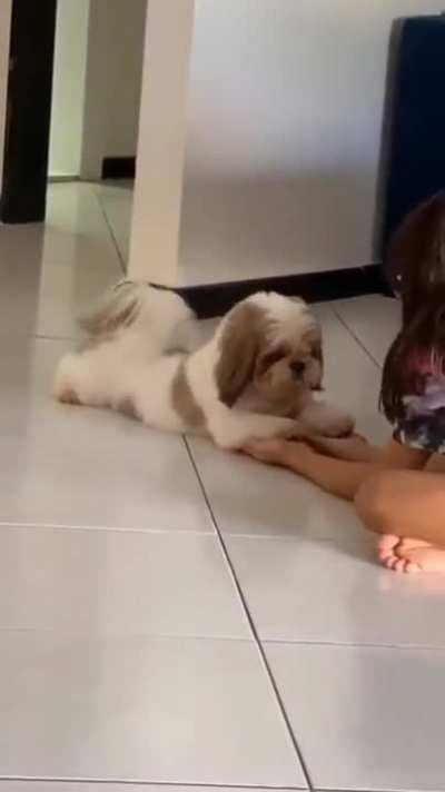 So cute and adorable! that stretched thou.