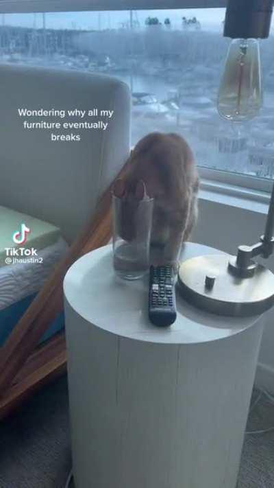 Not mine but thought this sub would enjoy 😉