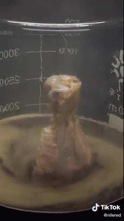 Piranha solution (concentrated sulphuric acid and hydrogen peroxide) reaction with chicken drumstick