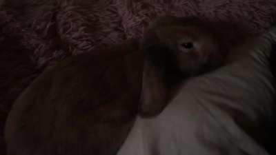 🐰morning 🐰~ she is so sweet 🥰