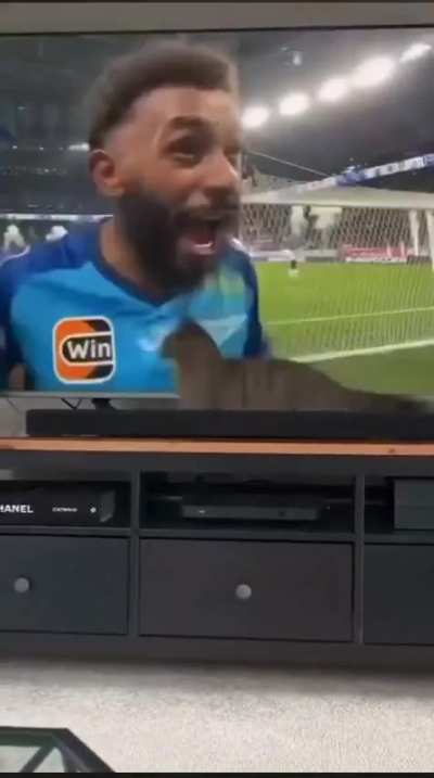 Casually watching soccer