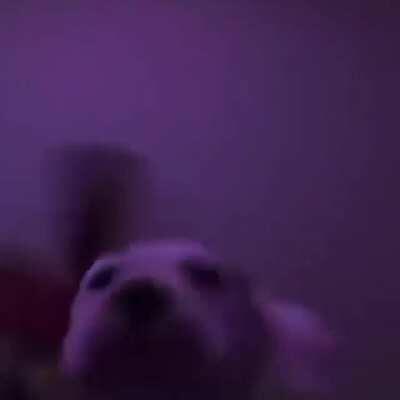 la casa de gale a las 9 a.m