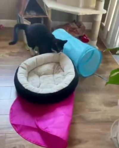 I honestly don't understand what's going on, but his face is smart and he is focused