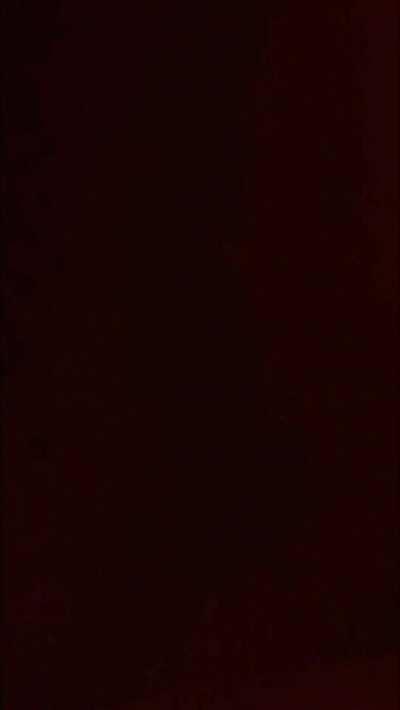 Fucking from the front or back first? [stba]