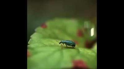 My honest reaction to the Xbox tweet