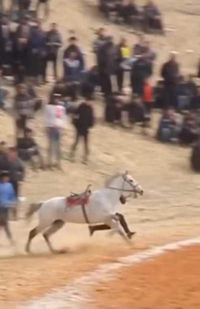 HMRB while I jump into the saddle and control this horse