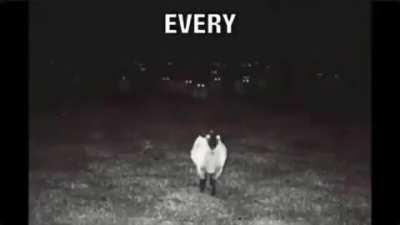 Dameyito 🎃 Gente, me voy a disfrazar de mimo del dolor vendado y con una sábana, seré una rara combinación