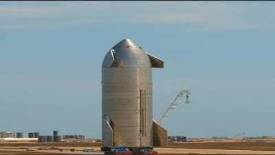 S N 1 1 D O B E W A L K I N G