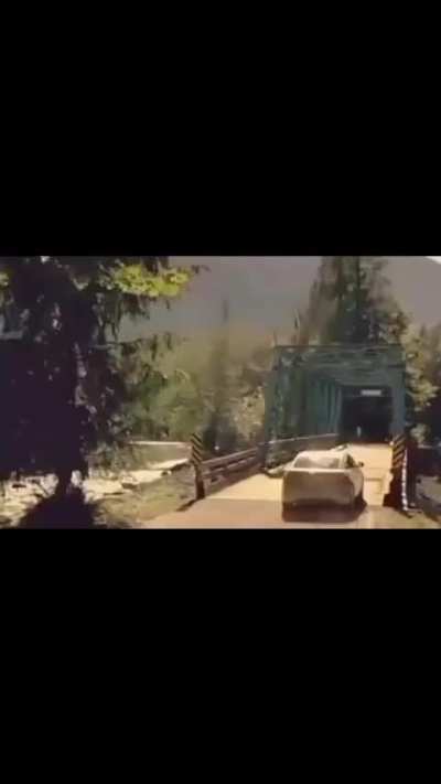 Beaver being dude 🦫