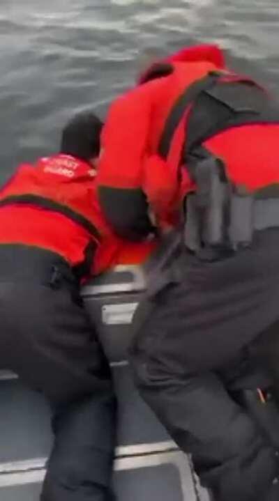 Coast Guard forces deer to live out life at sea