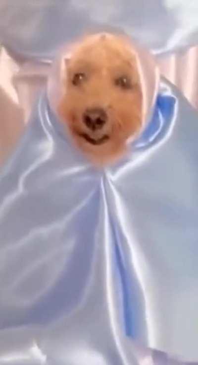 When they force you to participate in the play