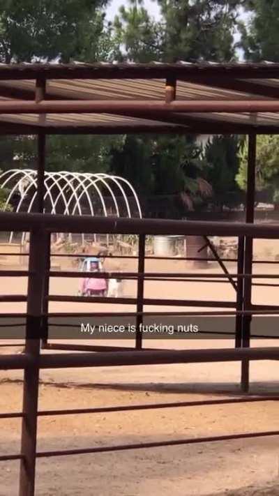 Leaked scene from new Fast X