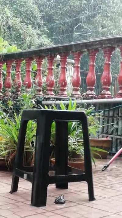 Light evening showers with froggy taking refuge