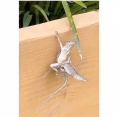 Respect man ! crazzyy dude