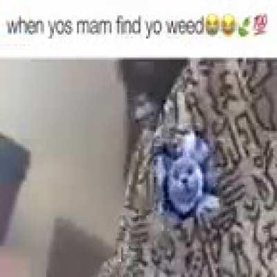 picle Cin ah boie 😁😁😁