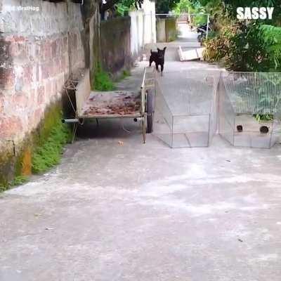 Not all heroes are human ❤️️😲