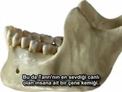 Tanrı'nın Havalı Tasarımları!