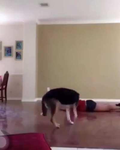 There are some really good ones there.