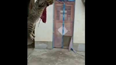 Only in India,bhar nhin jana chahiye