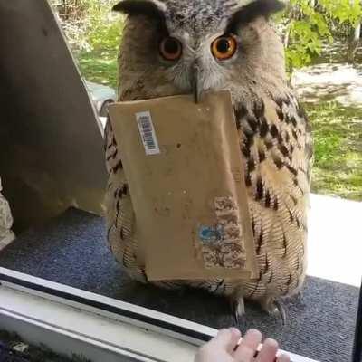 We nick named him fedex!