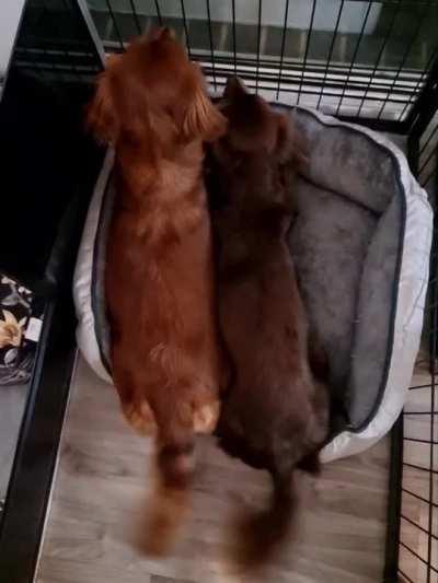 Working out synchronicity.