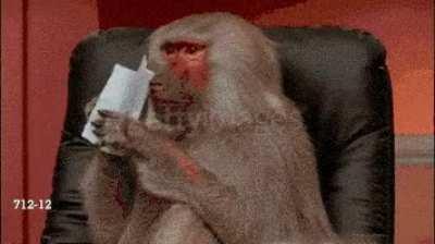 Taking in all the good news this week so far