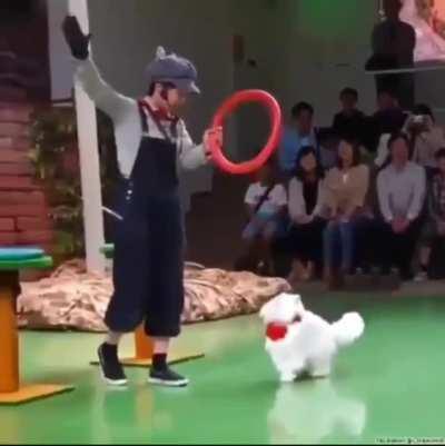 Catculating Trajectory