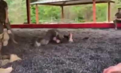 Mcmap is more intense than I remember.